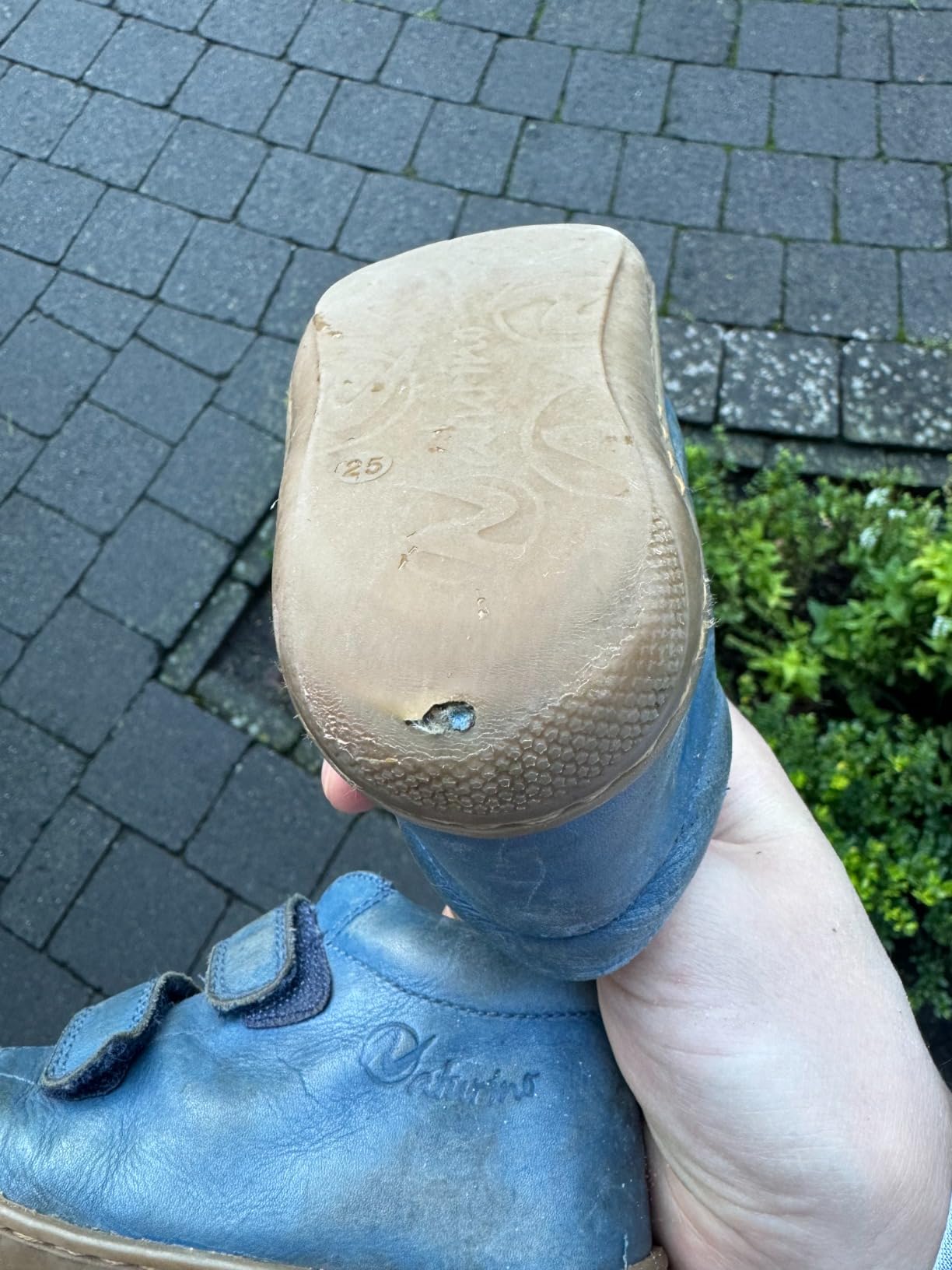 Perfekt
